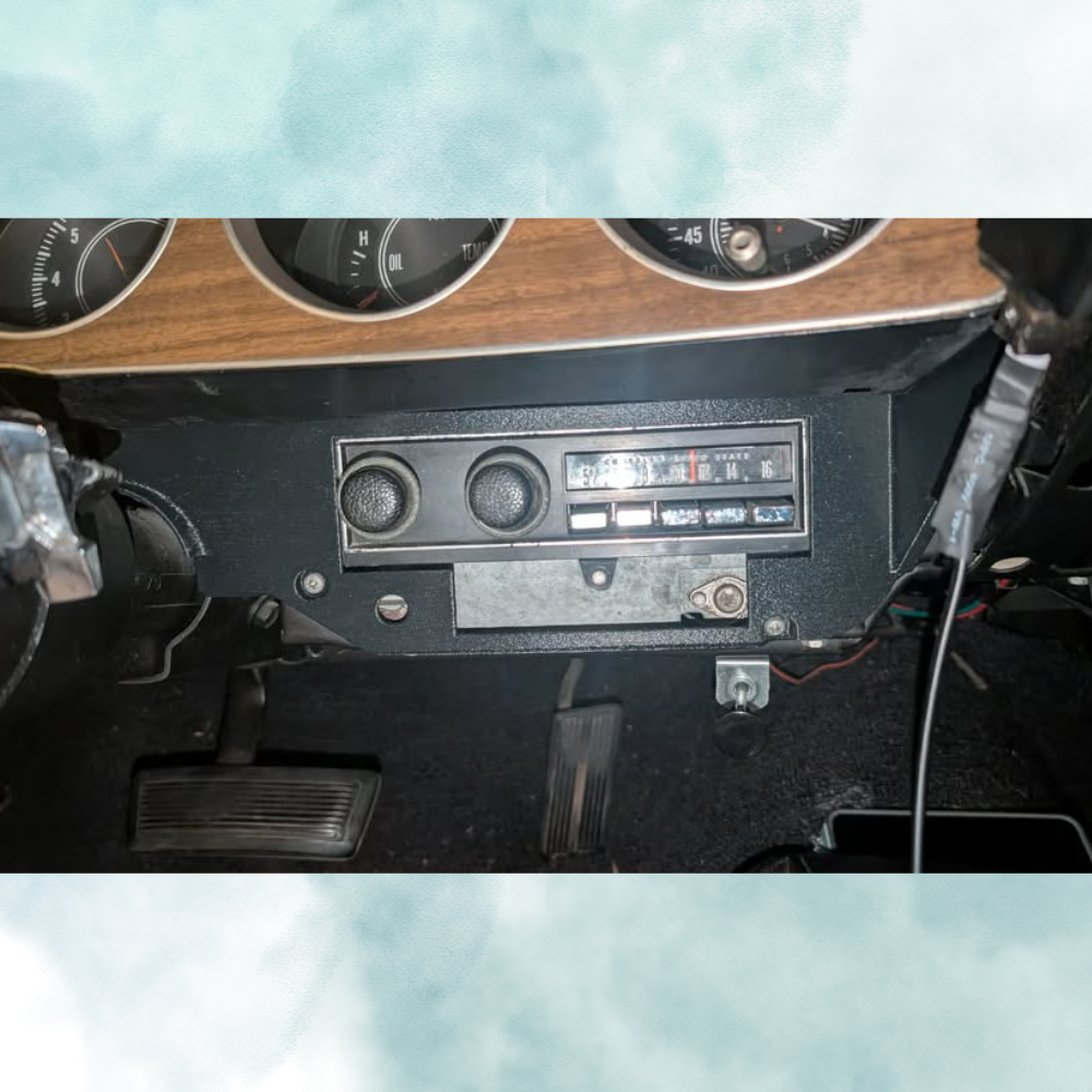 E-Body Radio Trim Panel